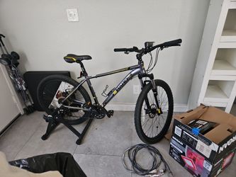 Bicicletas
