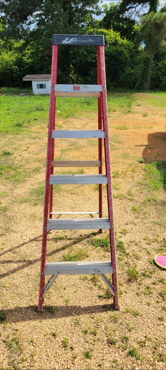6ft Ladder