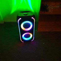 Large Party Speaker 