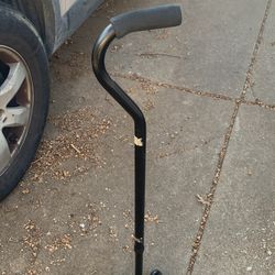 Walking cane