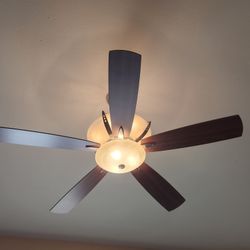 Hampton Bay Ceiling Fan w  Lights Remote