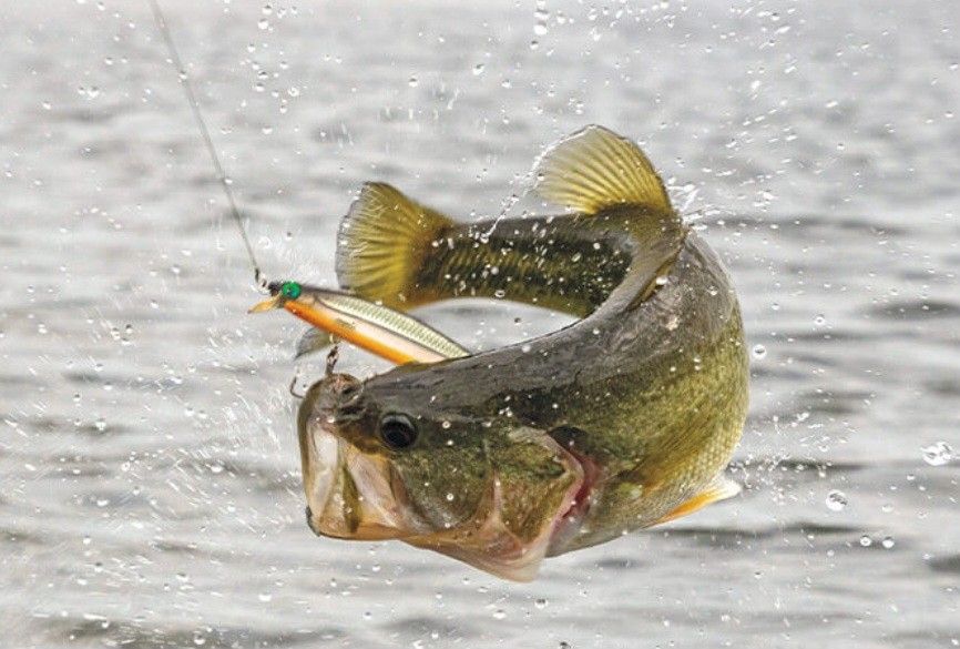 FISHING TACKLE ACCESSORIES LURES VINTAGE 