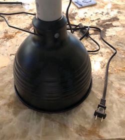 Terrarium lamp