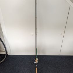 Shimano Zircos Fishing Pole Combo
