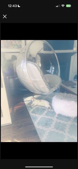 Acrylic Hanging Bubble Chair