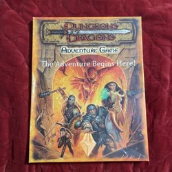 Dungeons & Dragons Game