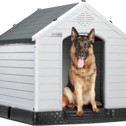42" Dog House