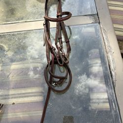 Ovation Pony Bridle 