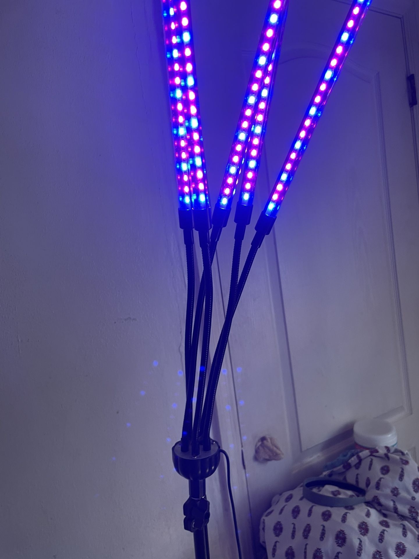 Grow light for plants