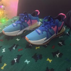 Nike LeBron Witness EP