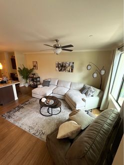 Living Spaces Couch