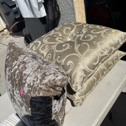 Set De Platos Con Tazas Y Cojines