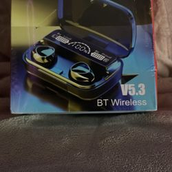 Wireless Earbuds (BRAND NEW IN BOX)