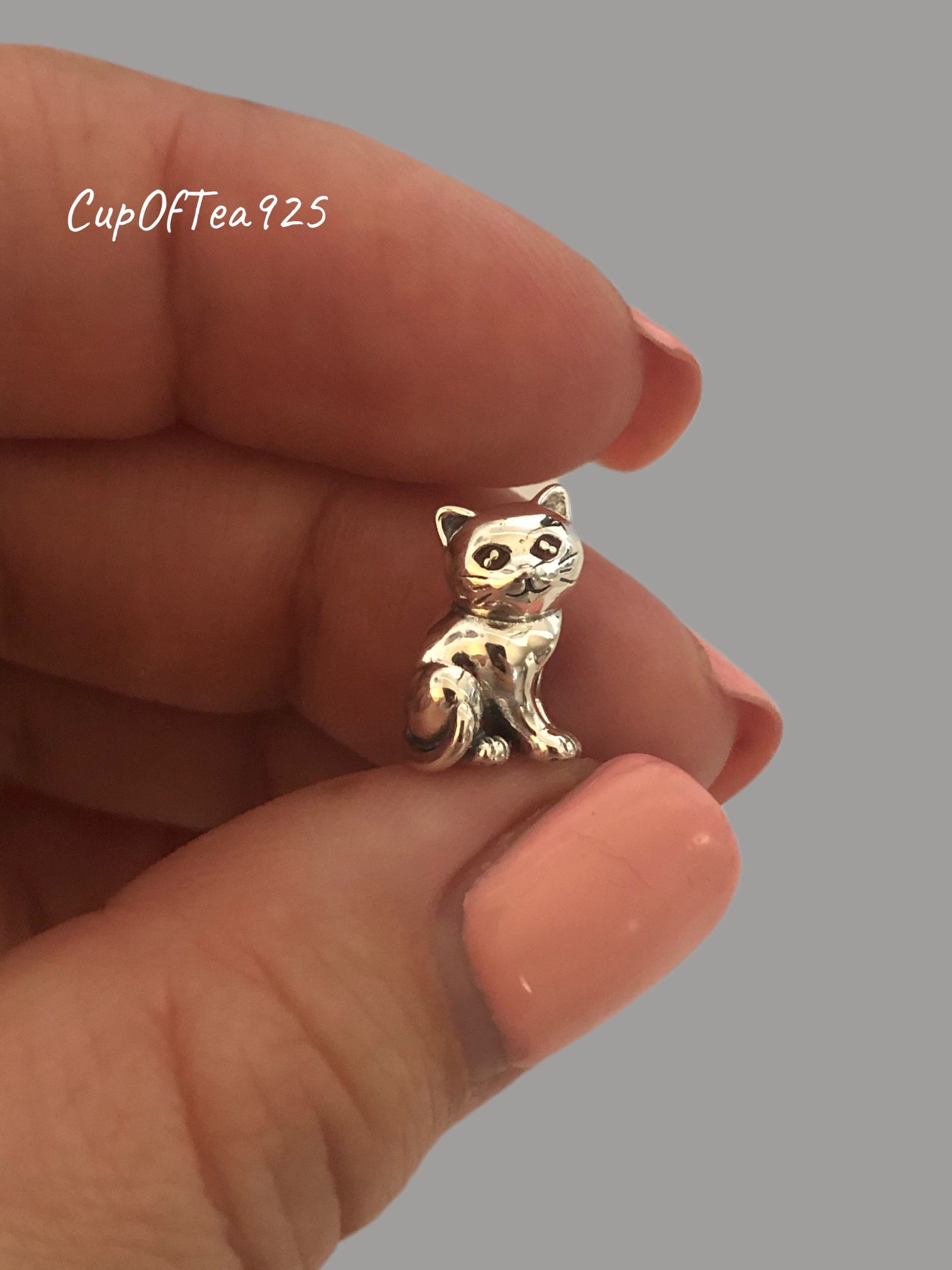Brand New Sterling Silver 925 🐱 Charm