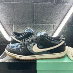 Nike Dunk SB Pro
