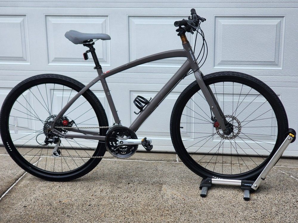 29er Specialized Globe Bike Large
