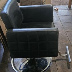 Salon  Haircutting Chair And Booster For Kids  