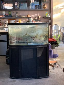 Free 55 gallon fish tank with stand