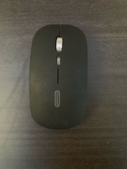 Mouse