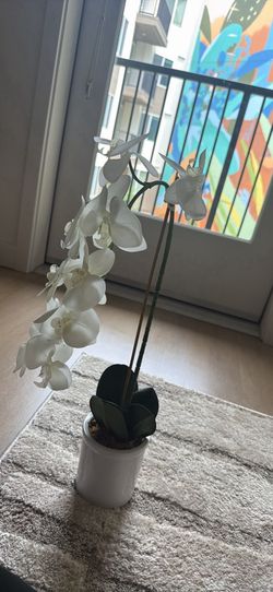 Artificial Orchid plant