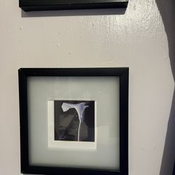 2 Black Framed Floral Pictures 