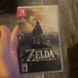Zelda Breath Of The Wild (Nintendo Switch)