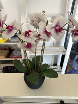 Fake orchid plant very natural look