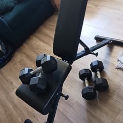 Workout Bench