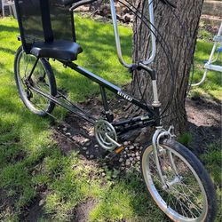 Bicycle this backseat