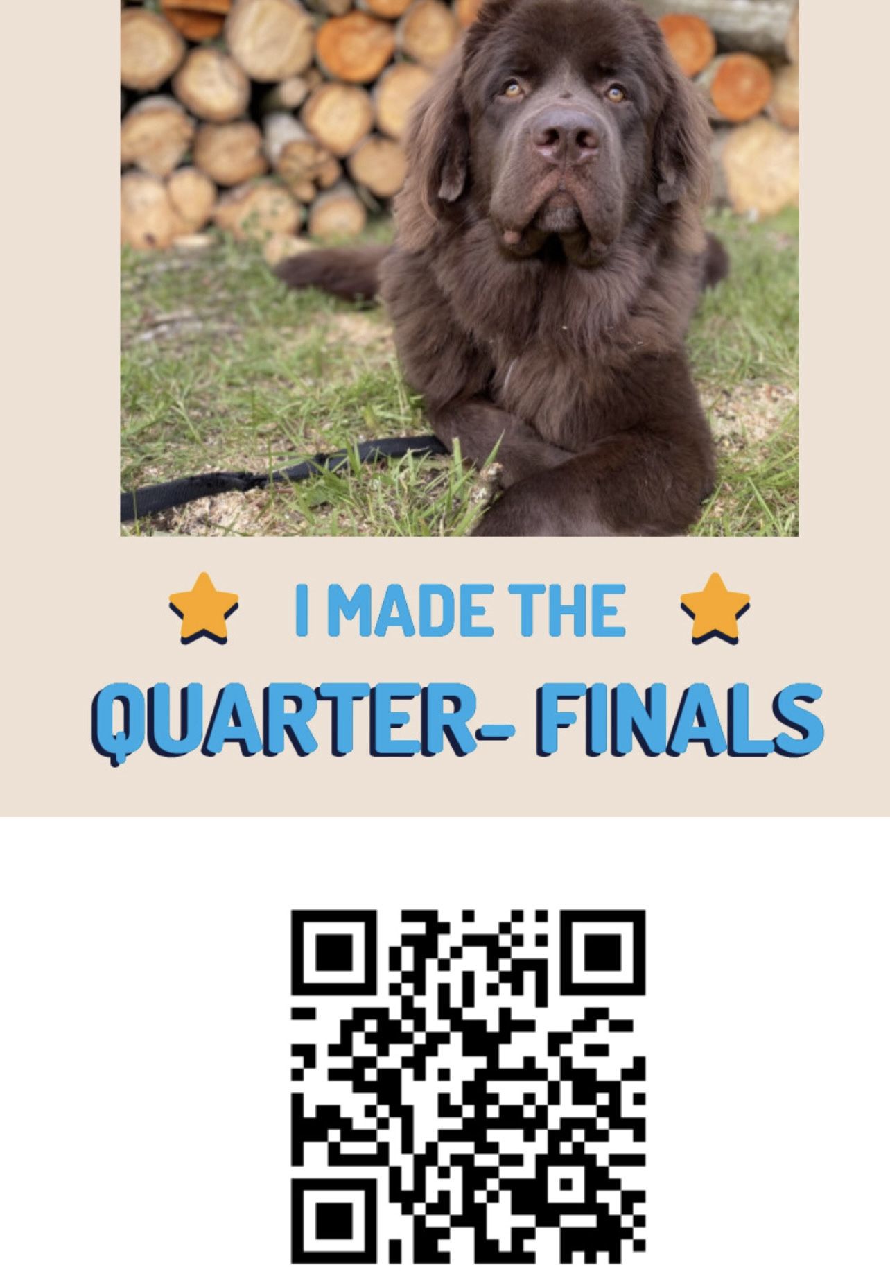 Americas Favorite Pet!