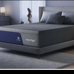 16 in Queen cool nest sweet night