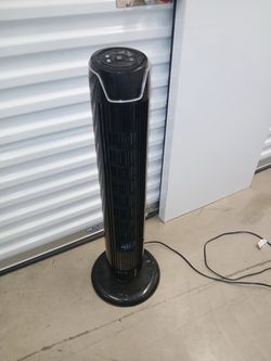 Fan