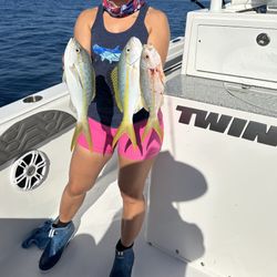 Yellow Tail Fishing