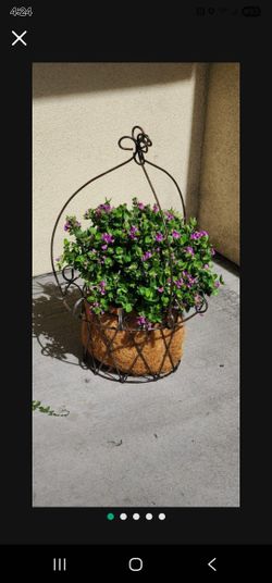 Wrought Iron Hanging Basket Planters-$40 Ea