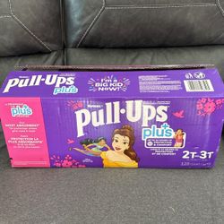 Pull-Ups Plus