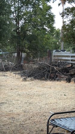 Free wood