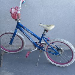 Girls 20 In Size Bike 