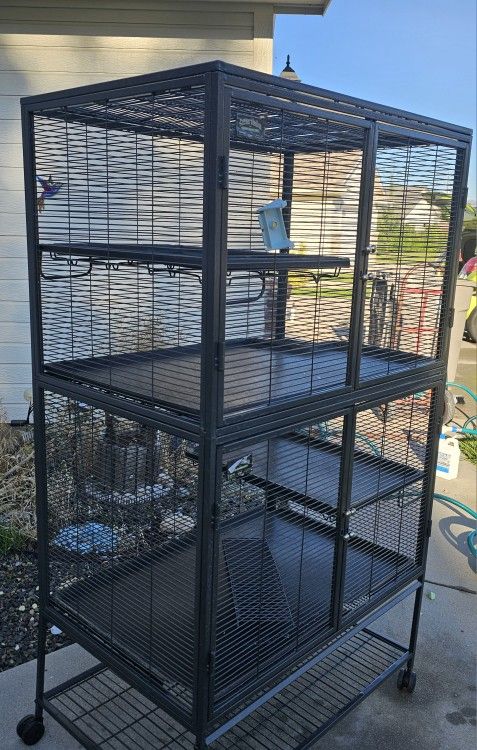 Rat mansion - critter nation