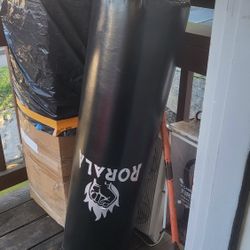 Punching Back/and Karate Bag