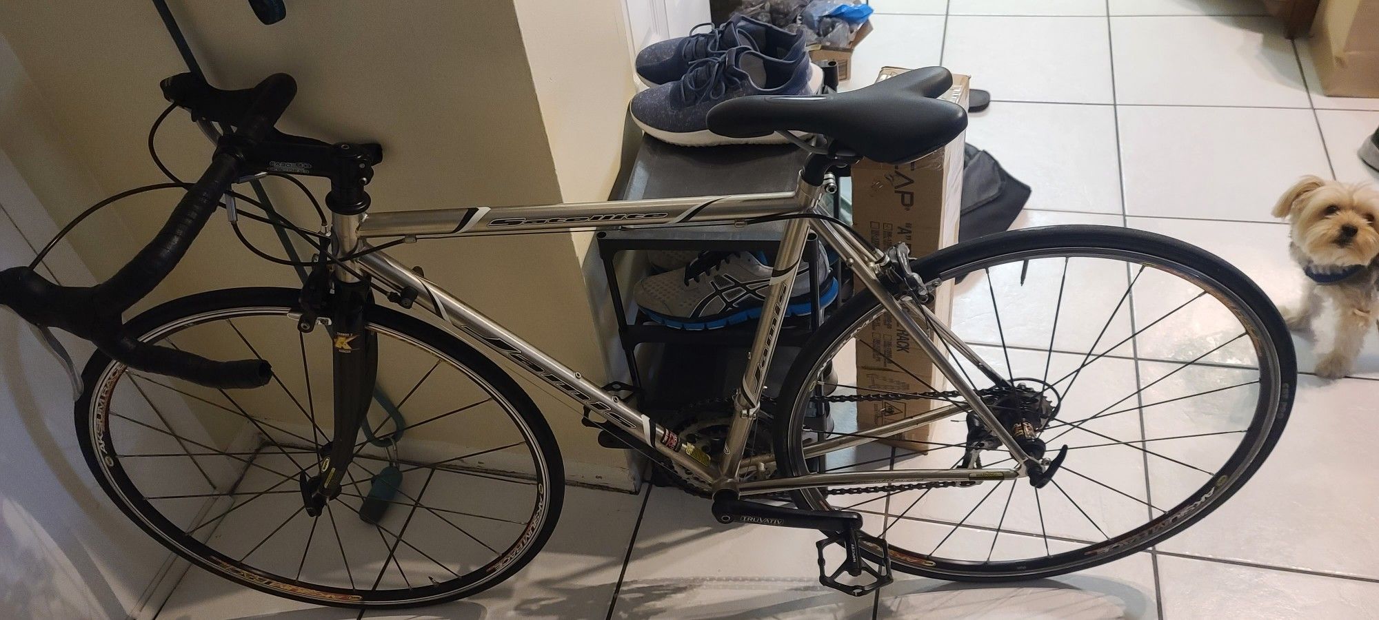 Road Bike Jamis Satellite Bicycle Carbon Fiber Forks Tecktro Brakes Shimano Gear Shifters Light Weight