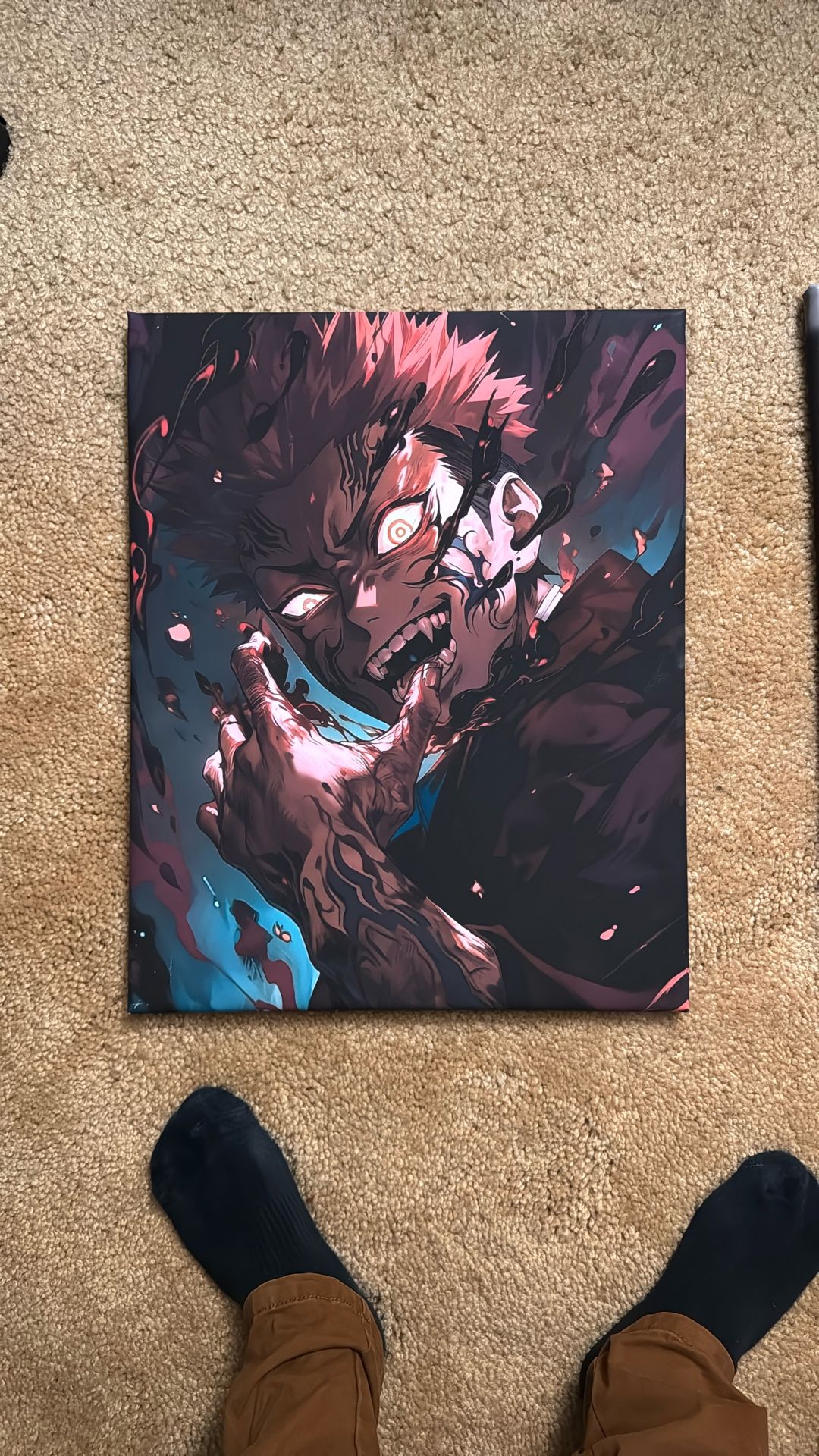 Vinal Paintings of Anime Charcters