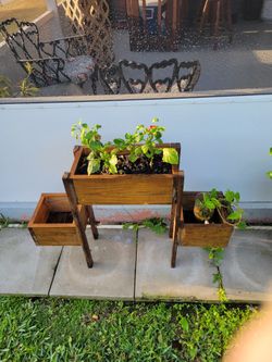 Planter's