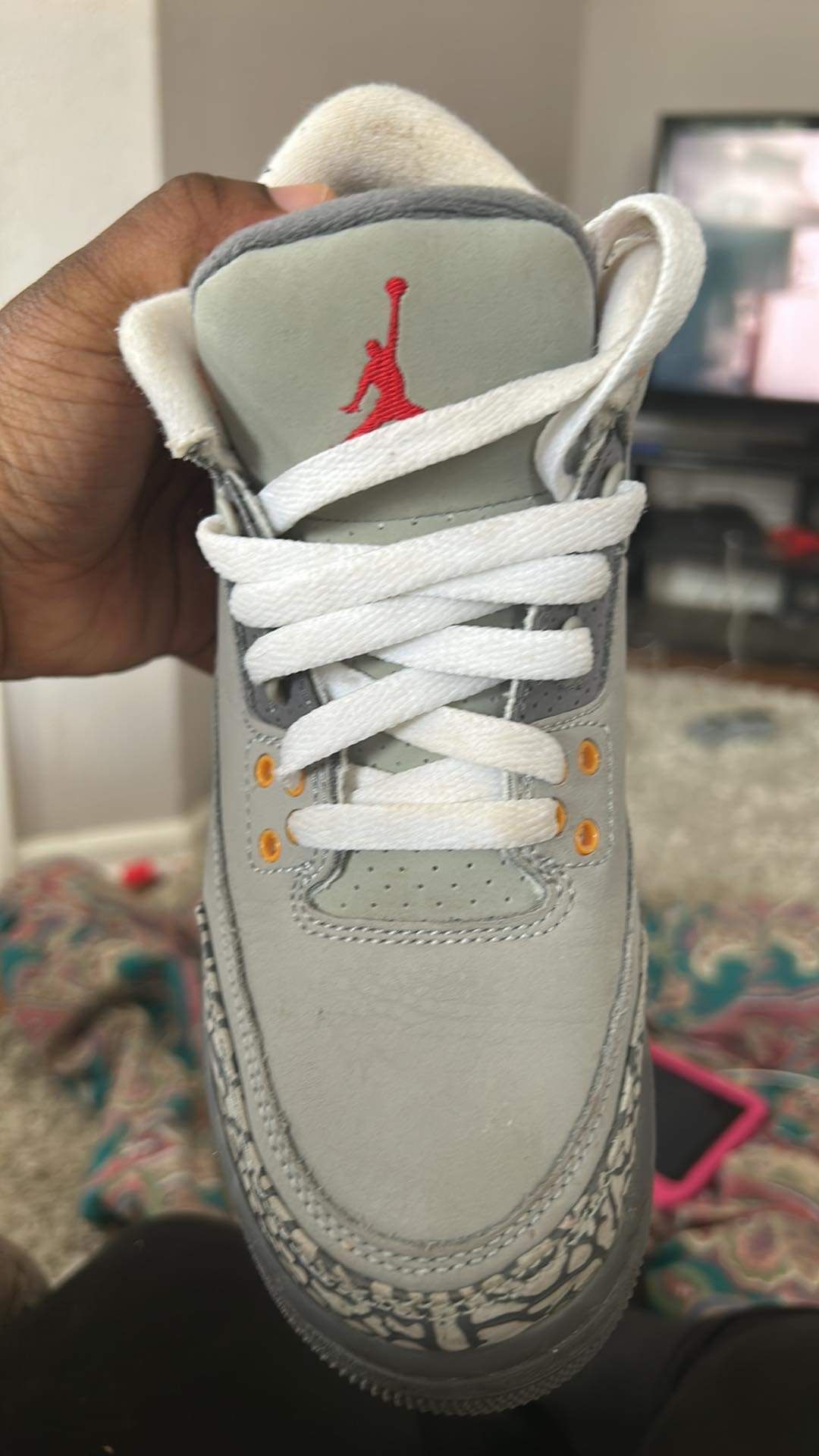 Retro Jordan 3s