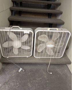 Fan $22 each