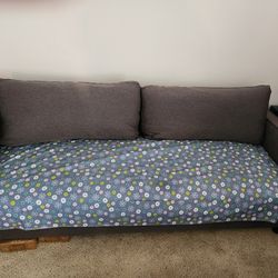 Free Couch