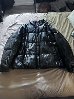 Fashion nova Jacket