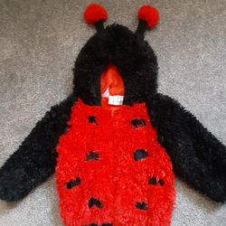 Jacket LADY  BUG 2T