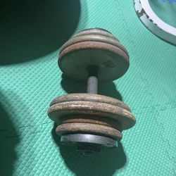 65+ Lb Adjustable Dumbbell (4x10,4x5 & 2x2.5 Lb Plates With Spin Lock Collars, Handle