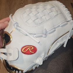 Fastpitch Softball Gloves