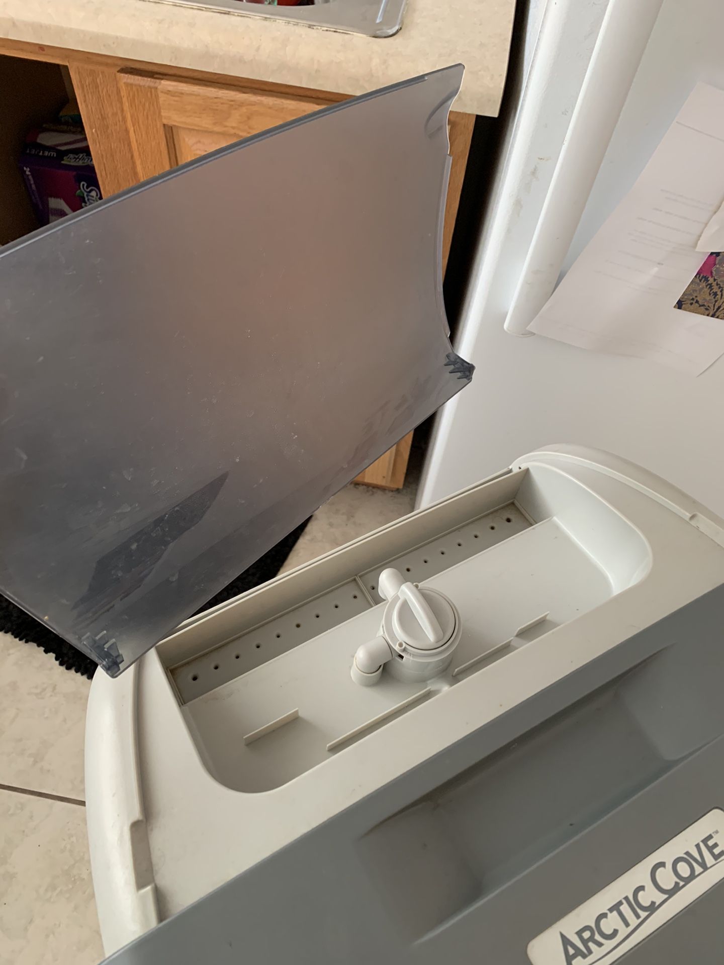 Arctic Cove Swamp Cooler for Sale in Denver, CO OfferUp